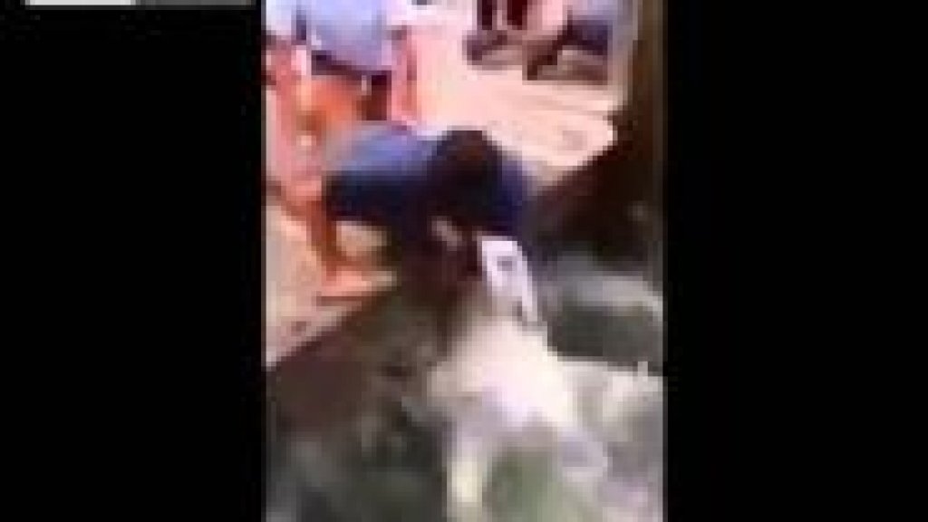 Fish fights back as man tries to catch HIM with his hand-Original Fish fights back as man tries to catch HIM with his hand-Original