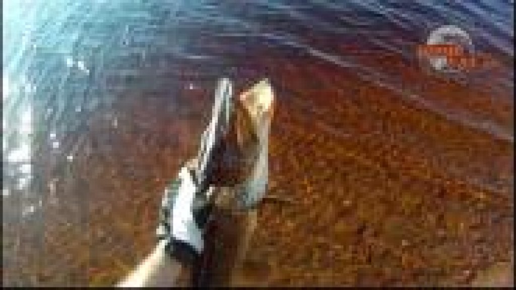 Подводные съемки щуки Подводные съемки щуки
