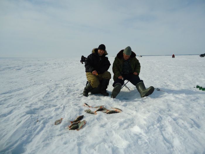 Дядьки Вовки. Боровое 19.03.13.