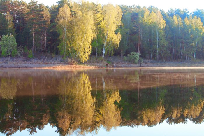 В лучах утреннего солнца