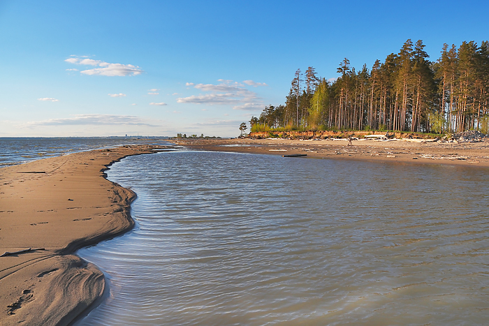 Бердская коса фото