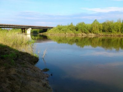 Погода б иня. Речка Плотниково Новосибирская область. Река Иня Плотниково. Река Иня Ленинск Кузнецкий. Поселок Плотниково.