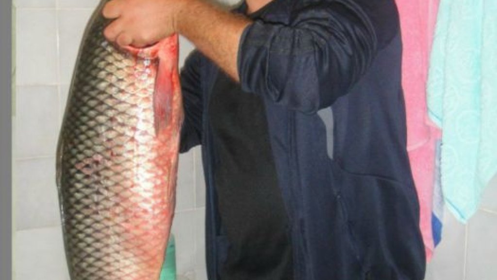 Рыбалка на Оби р-он ордынки сентябрь 2012