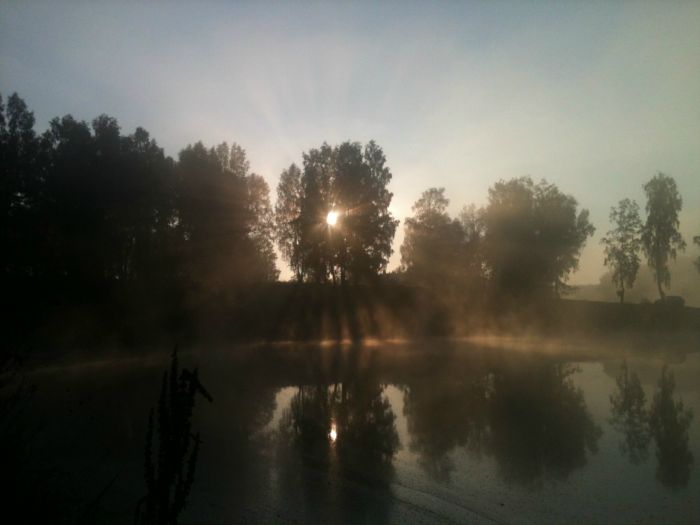 Утро на Малиновском пруду