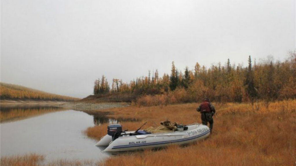 Рыбалка на реке Моркока — мечта ставшая реальностью.