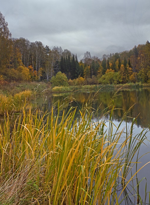 Осень на озере