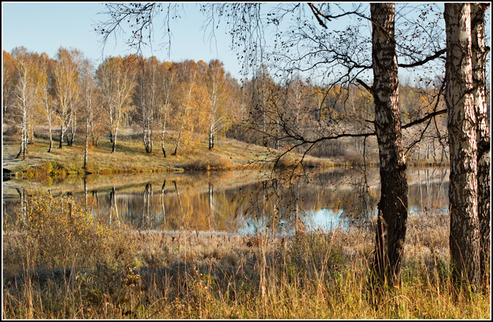 Золотая осень ( Малиновский пруд )