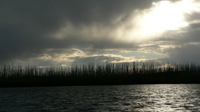 озеро Черталы (Тюкалинского района)