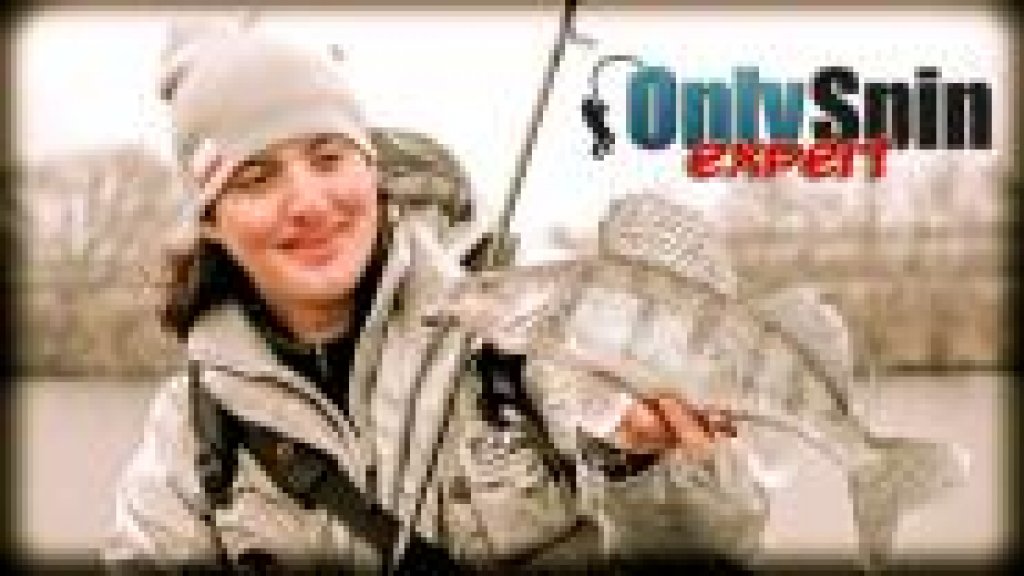 Ловля на джиг поздней осенью Мишин и Питерцов Ловля на джиг поздней осенью Мишин и Питерцов