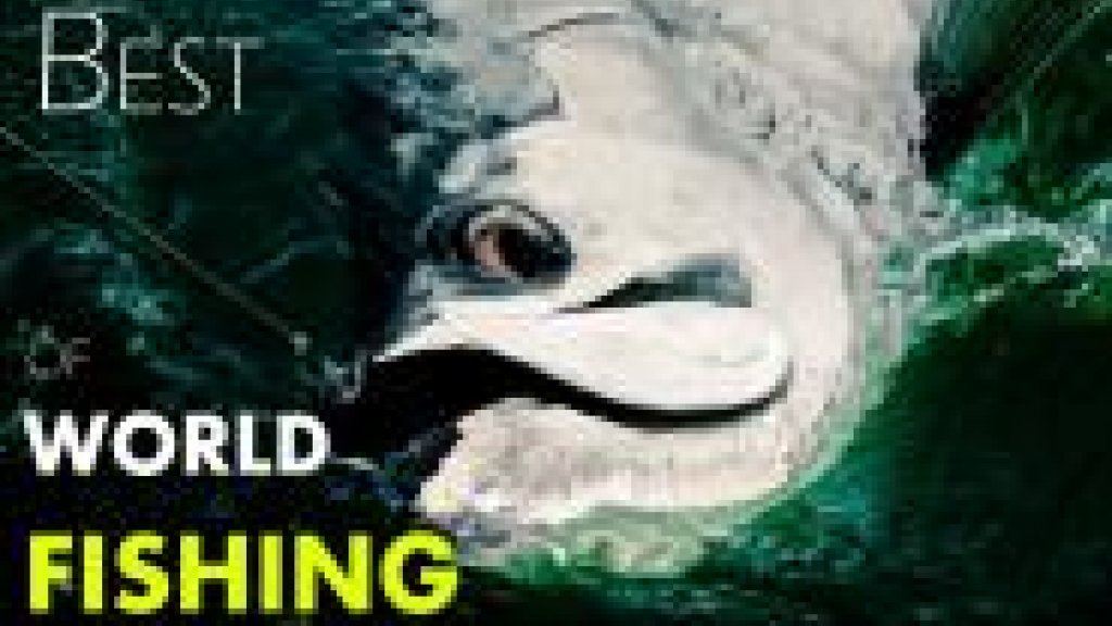 BEST of WORLD FISHING BEST of WORLD FISHING