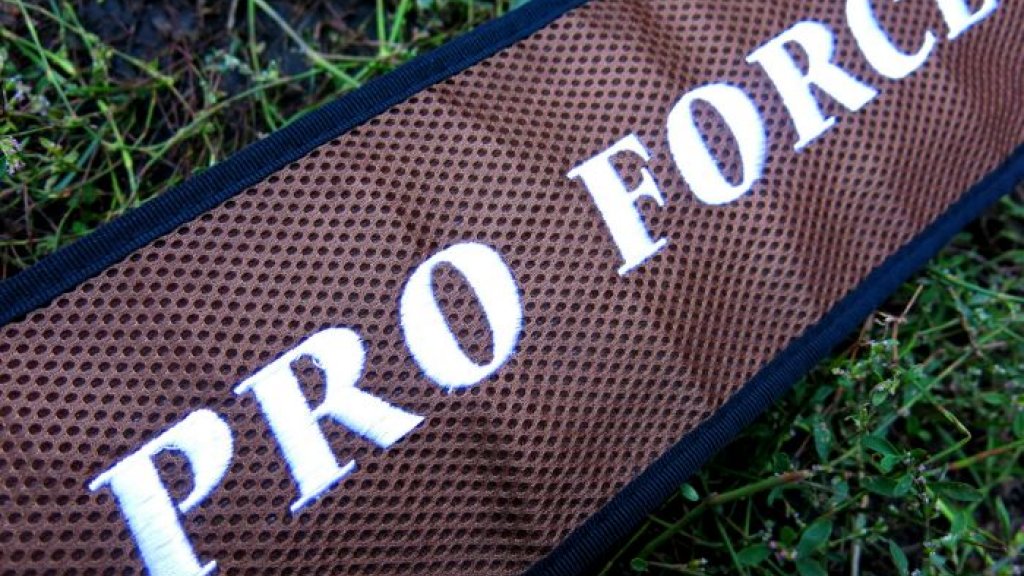 Сила Профессионалов или все тот же Pro Force... Сила Профессионалов или все тот же Pro Force...
