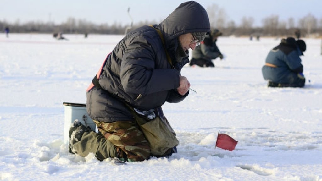 Открытый кубок НСО «Золотая мормышка 2013». (официальный отчёт).