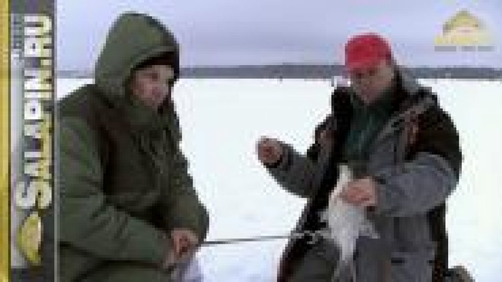 Ловля подлещика зимой на водохранилищах без течения Ловля подлещика зимой на водохранилищах без течения