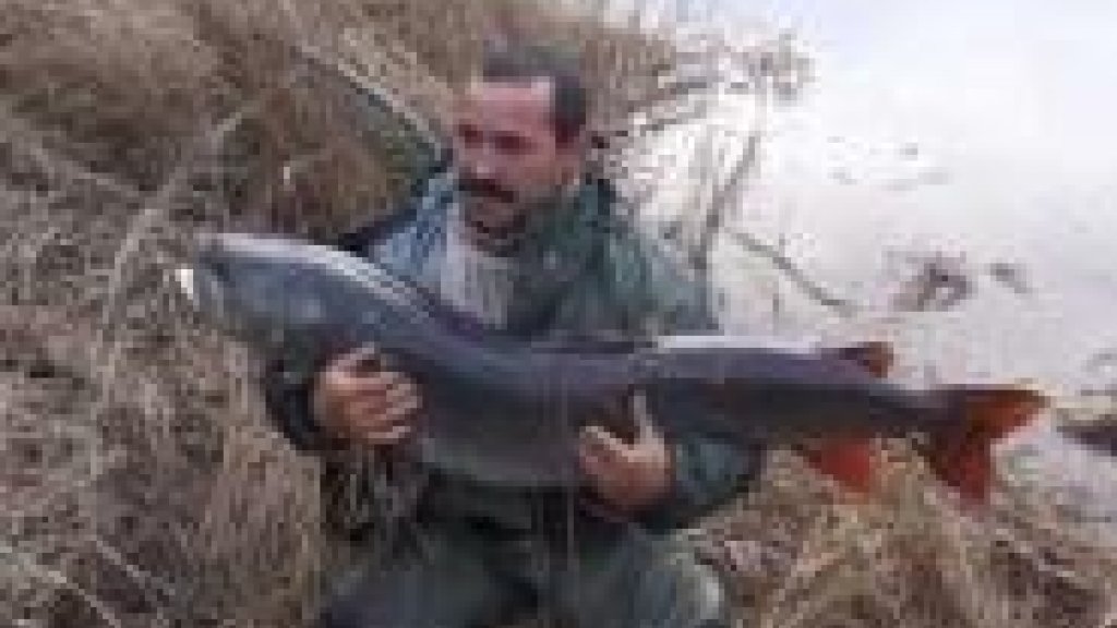 митягин на уссури.