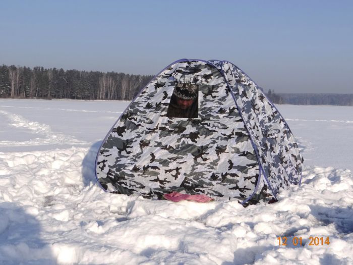 А я в домике! )