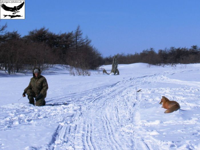 Ну, когда ты меня рыбкой угостишь...