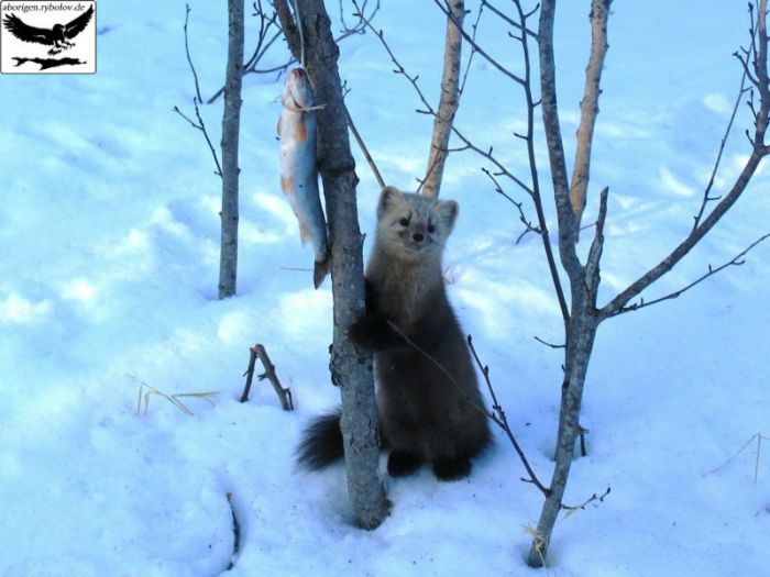 Фотограф, говоришь... Тогда попозирую...