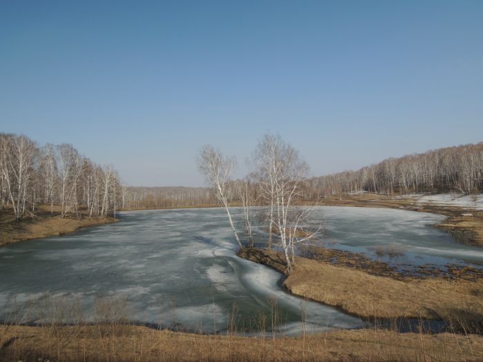 Платник в Раздольном.