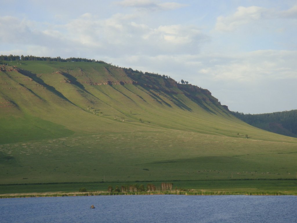 Парное.