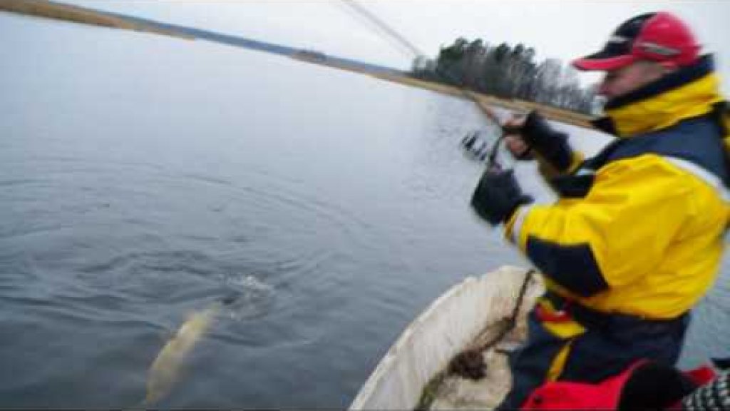 Ловим щуку на фотоаппарат RUSSIAN HI-TECH FISHING