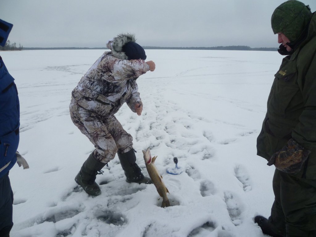 то Колпашево