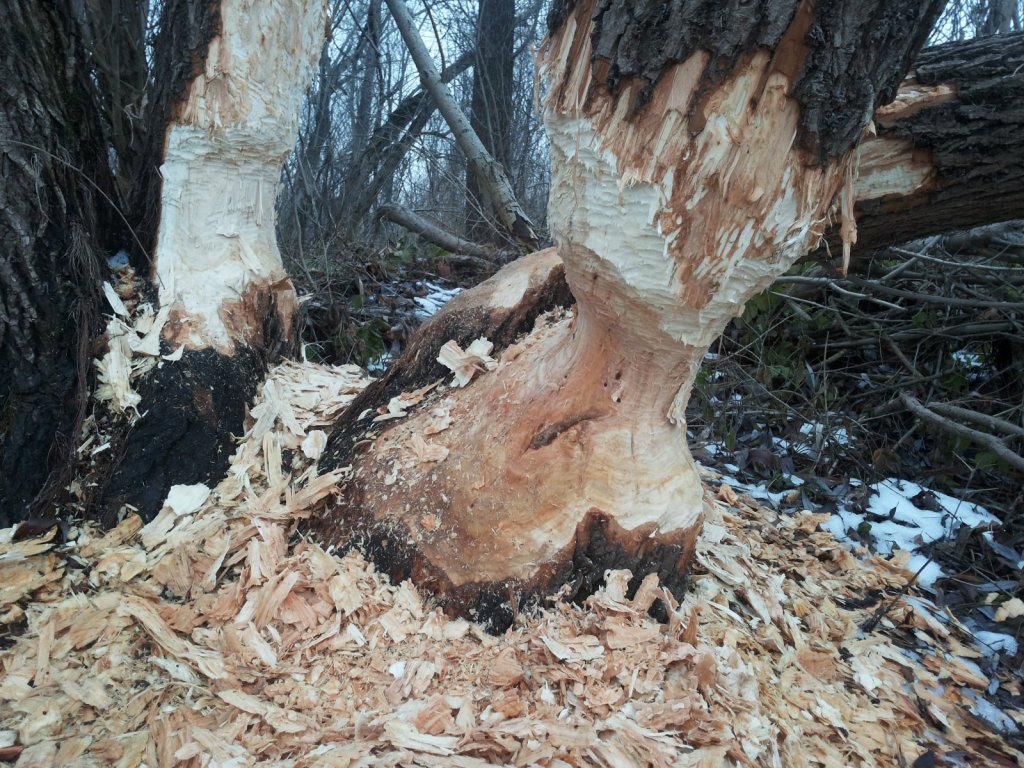 савсем чутка осталось :)