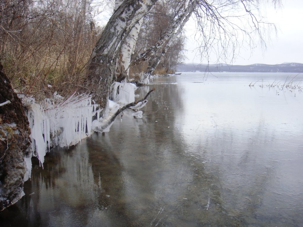 Лёд Парного