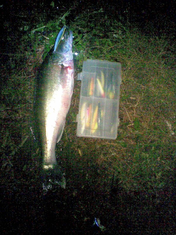Ночная рыбалка на воблер, с берега.