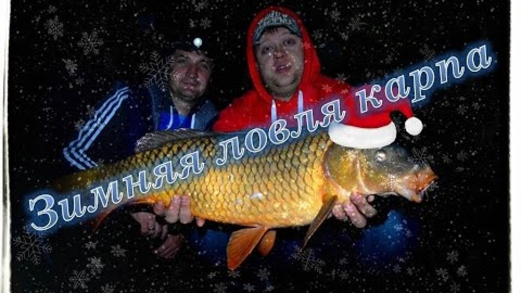 Зимняя ловля Карпа,BIG-FISH 2014 на Украинке.