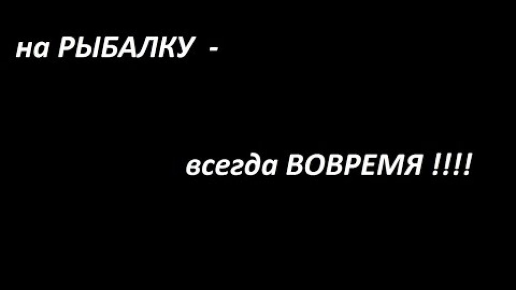 На рыбалку вовремя.