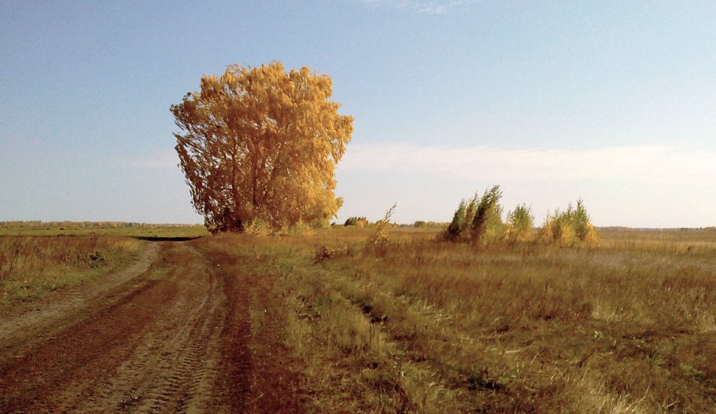 Вополе береза стояла... .