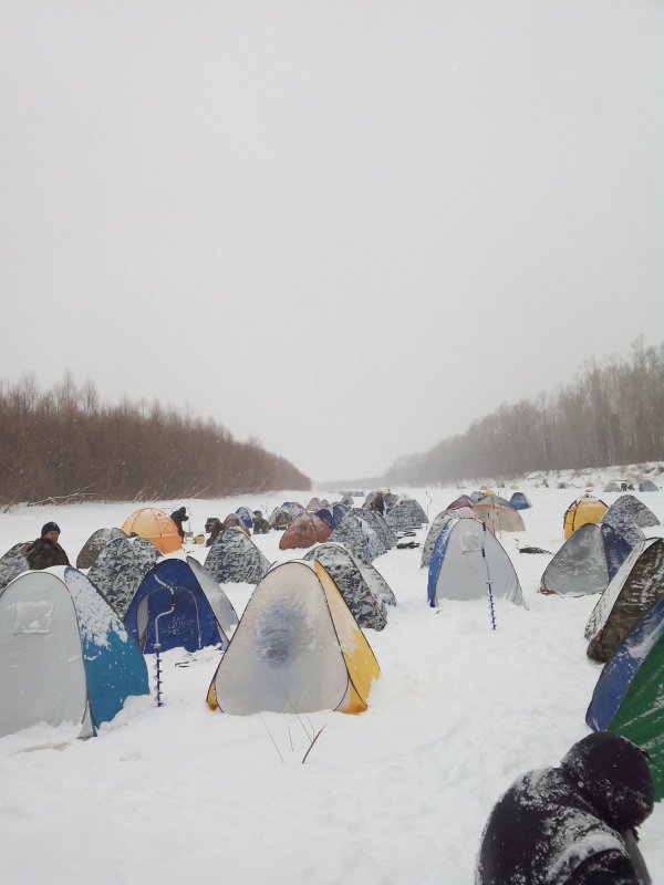 Палаточный городок нелегальных рыболовов-мигрантов в Батурино