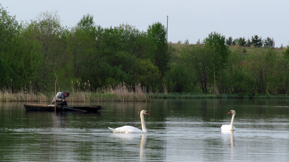 НА КОНКУРС