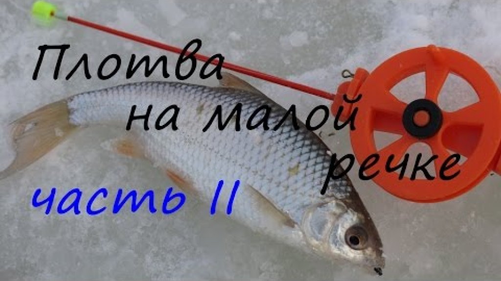 Не только безмотылка! Ловля плотвы на малой речке. Часть вторая. Не только безмотылка! Ловля плотвы на малой речке. Часть вторая.