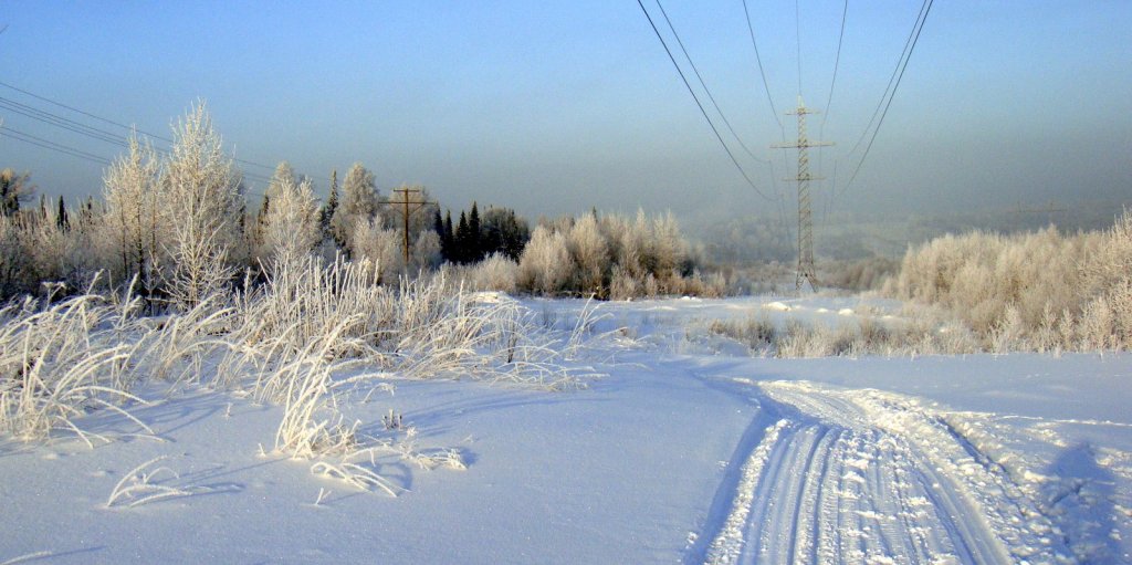 Тайга парадная