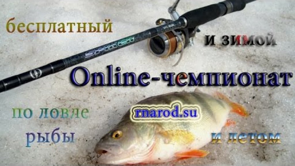Online-чемпионат от сайта РНарод - ежемесячные бесплатные соревнования по рыбной ловле! Online-чемпионат от сайта РНарод - ежемесячные бесплатные соревнования по рыбной ловле!