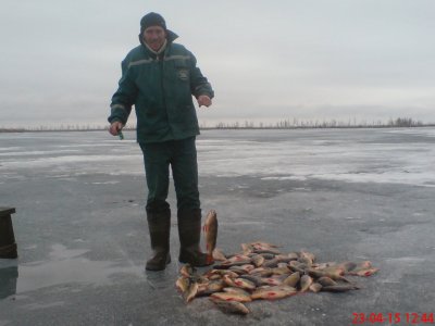 Рыболовный прогноз для населенных пунктов Новосибирской области: