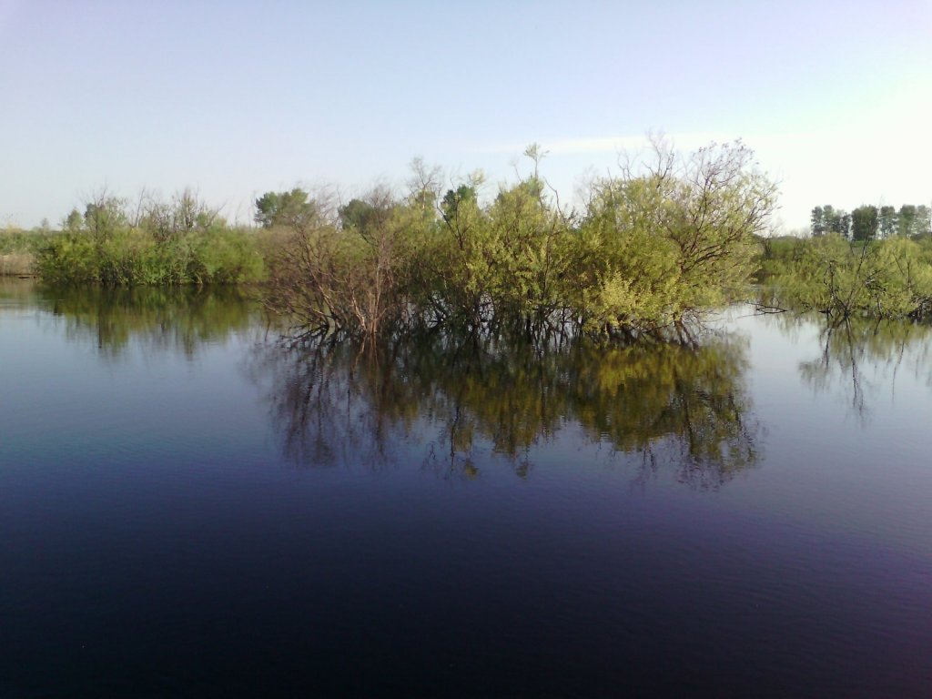 Река Каргат 15 мая (разливы)