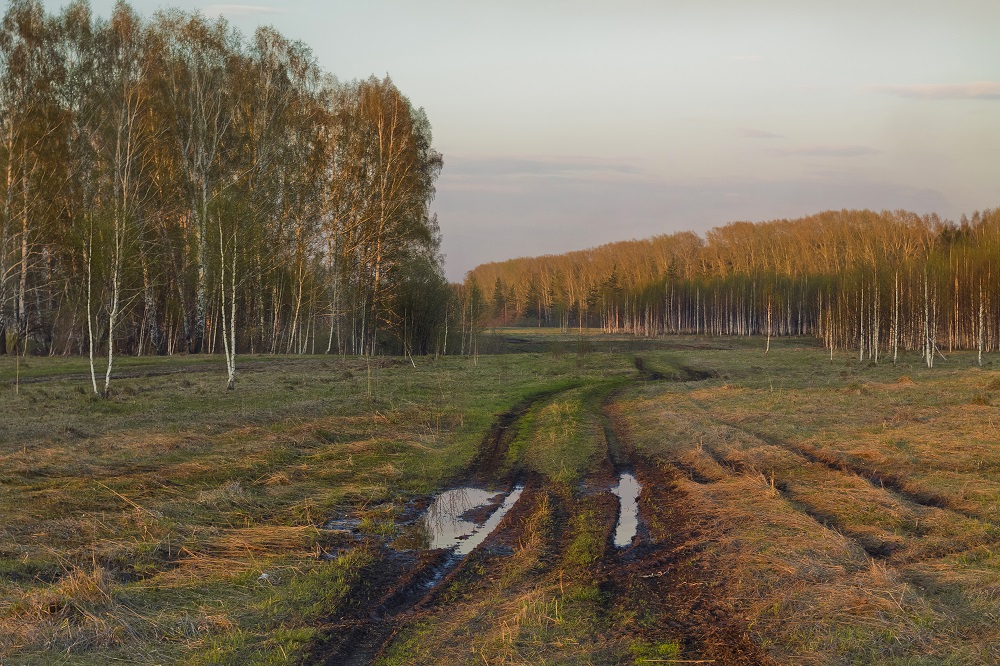 Эх, дороги...