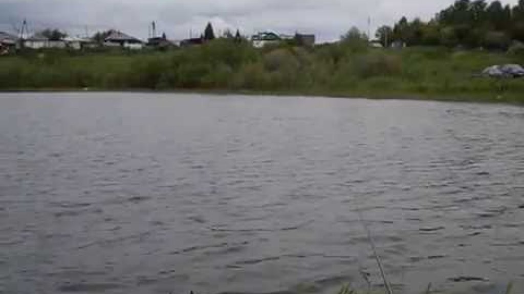 Рыбалка на озере Каменка.