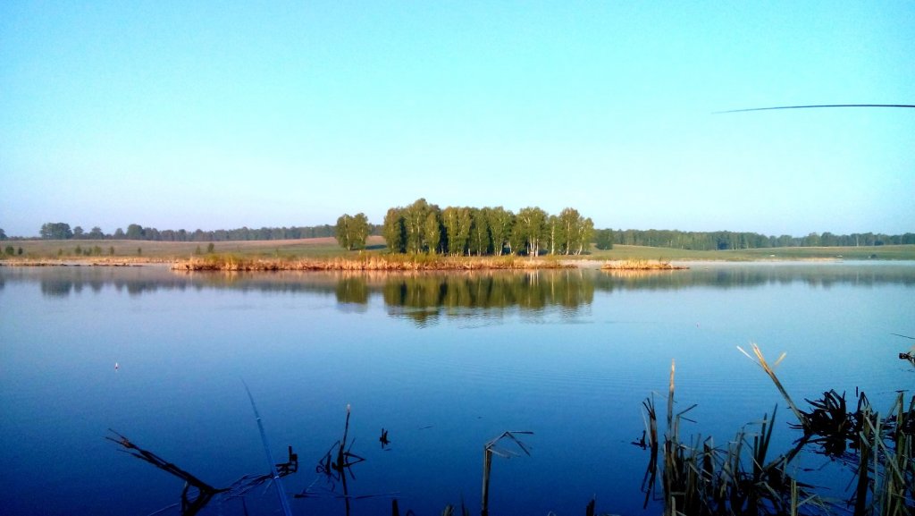 Озеро моховое омск нефтяники фото