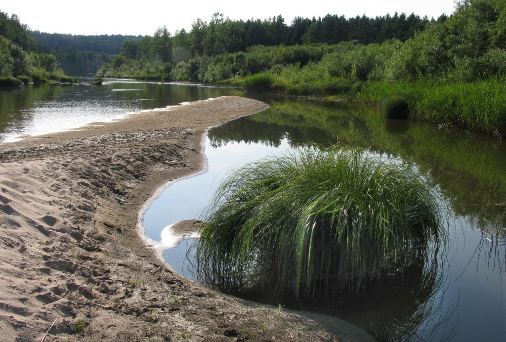 Вода тогучин