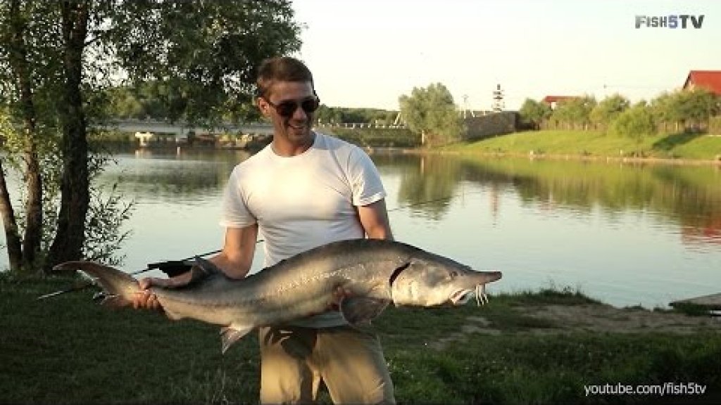 Видео о рыбалке