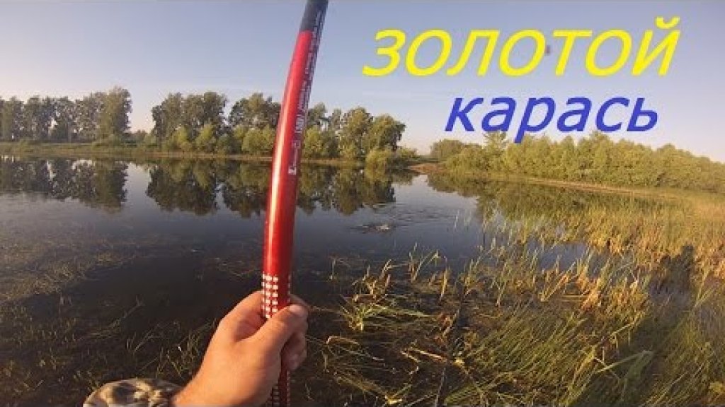 Рыбалка на золотистого карася в озере Москвичево. На конкурс)))