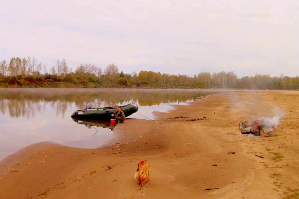 какая рыба водится в чулыме в назарово. Смотреть фото какая рыба водится в чулыме в назарово. Смотреть картинку какая рыба водится в чулыме в назарово. Картинка про какая рыба водится в чулыме в назарово. Фото какая рыба водится в чулыме в назарово