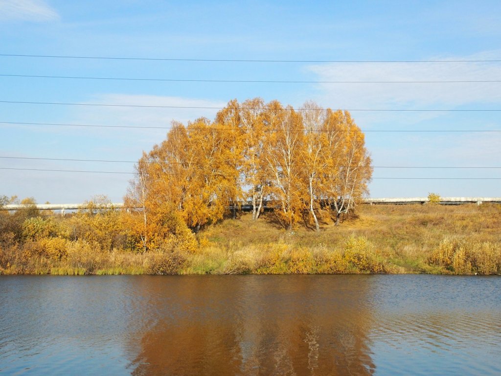 Осень на Спартаке.