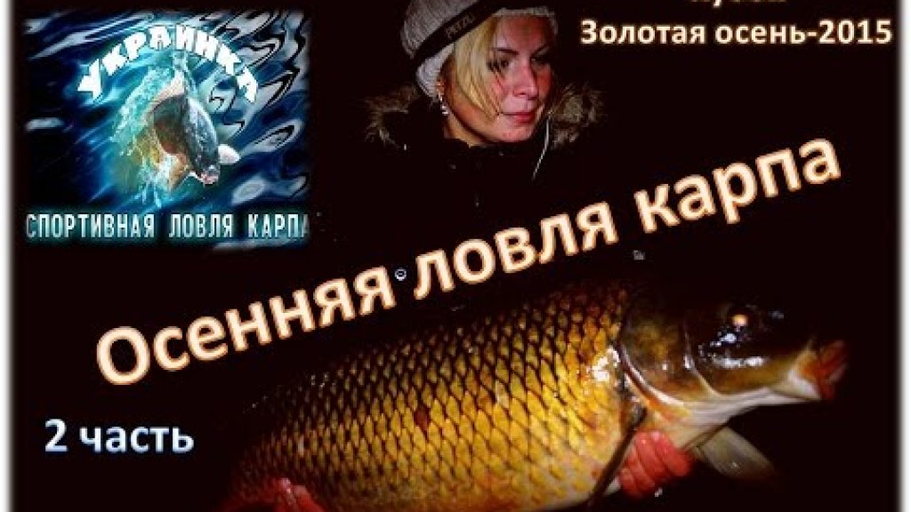 Осеняя ловля Карпа "Кубок Золотая Осень на Украинке-2015"