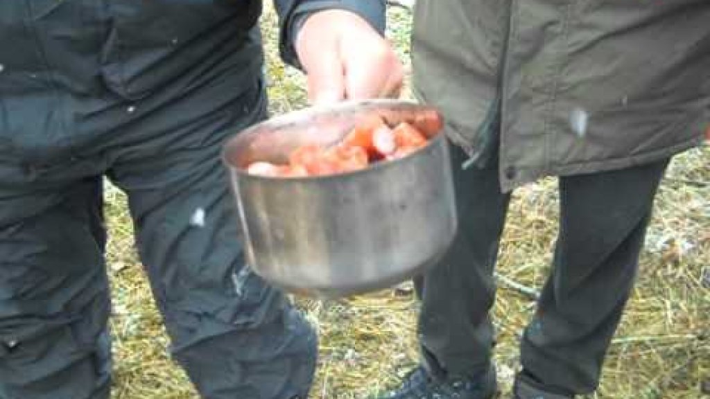 Горячая закуска за 5 мин в походных условиях Горячая закуска за 5 мин в походных условиях