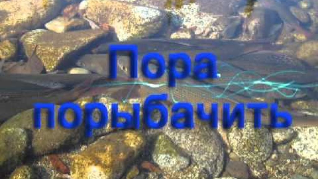 Поход в тайгу. Поход в тайгу.