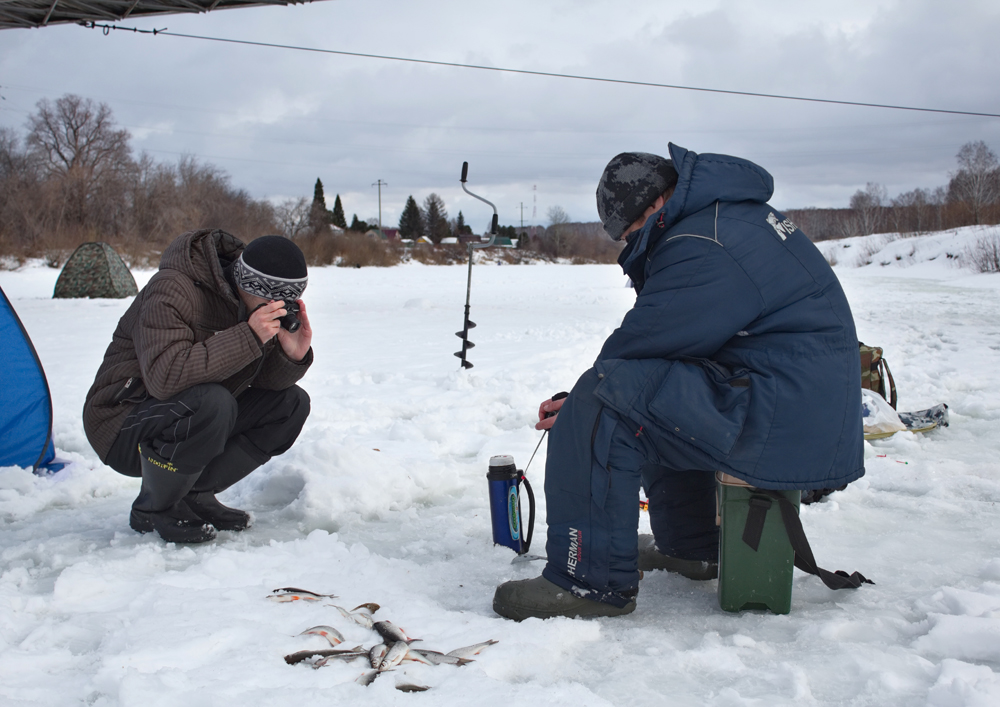 рыба как плотва но с белыми глазами и плавниками. Смотреть фото рыба как плотва но с белыми глазами и плавниками. Смотреть картинку рыба как плотва но с белыми глазами и плавниками. Картинка про рыба как плотва но с белыми глазами и плавниками. Фото рыба как плотва но с белыми глазами и плавниками рыба как плотва но с белыми глазами и плавниками. Смотреть фото рыба как плотва но с белыми глазами и плавниками. Смотреть картинку рыба как плотва но с белыми глазами и плавниками. Картинка про рыба как плотва но с белыми глазами и плавниками. Фото рыба как плотва но с белыми глазами и плавниками